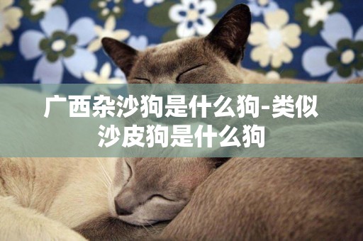 廣西雜沙狗是什么狗-類似沙皮狗是什么狗