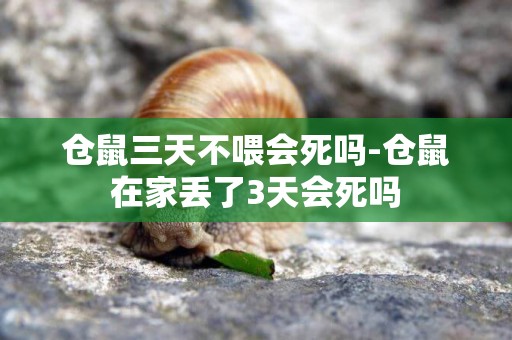 倉鼠三天不喂會死嗎-倉鼠在家丟了3天會死嗎
