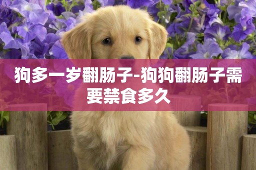 狗多一歲翻腸子-狗狗翻腸子需要禁食多久