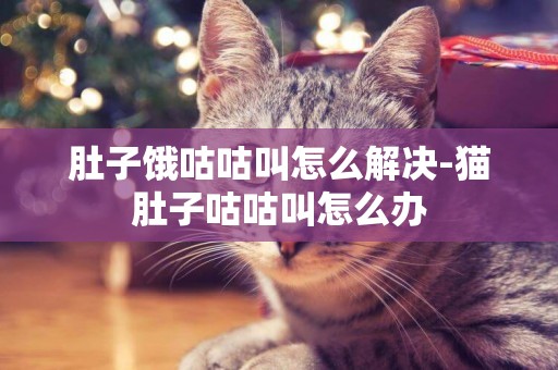 肚子餓咕咕叫怎么解決-貓肚子咕咕叫怎么辦
