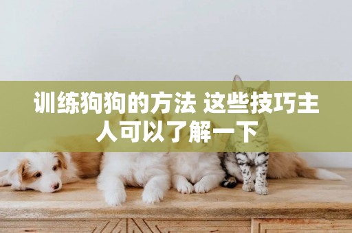 訓練狗狗的方法 這些技巧主人可以了解一下