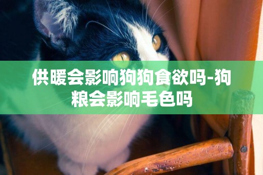 供暖會影響狗狗食欲嗎-狗糧會影響毛色嗎