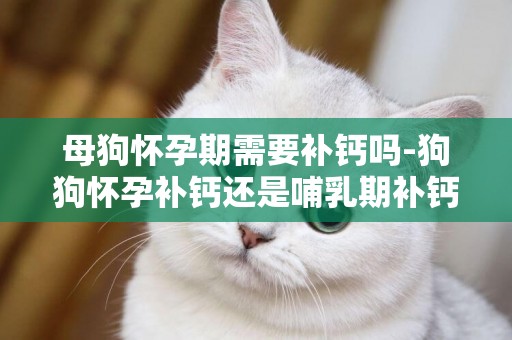 母狗懷孕期需要補鈣嗎-狗狗懷孕補鈣還是哺乳期補鈣