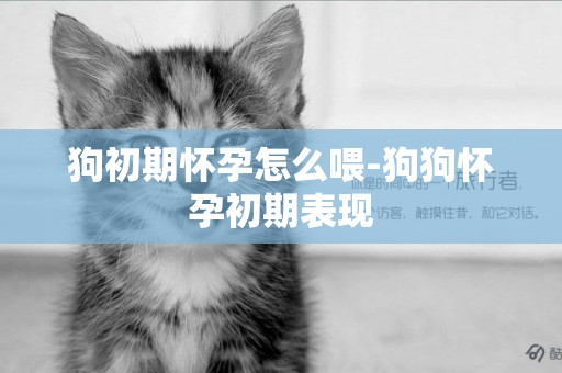 狗初期懷孕怎么喂-狗狗懷孕初期表現