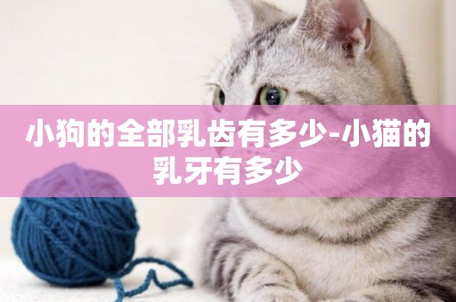 小狗的全部乳齒有多少-小貓的乳牙有多少