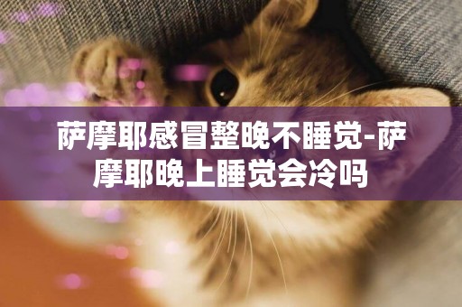 薩摩耶感冒整晚不睡覺-薩摩耶晚上睡覺會冷嗎