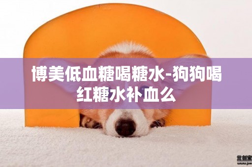 博美低血糖喝糖水-狗狗喝紅糖水補血么