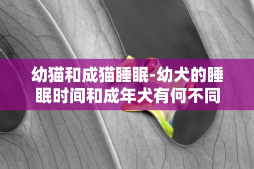 幼貓和成貓睡眠-幼犬的睡眠時間和成年犬有何不同