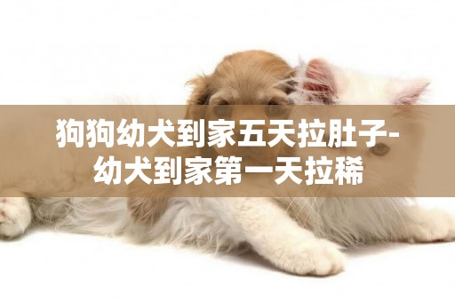 狗狗幼犬到家五天拉肚子-幼犬到家第一天拉稀