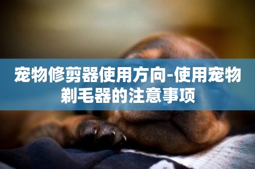 寵物修剪器使用方向-使用寵物剃毛器的注意事項