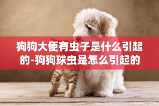 狗狗大便有蟲子是什么引起的-狗狗球蟲是怎么引起的