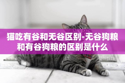 貓吃有谷和無谷區別-無谷狗糧和有谷狗糧的區別是什么