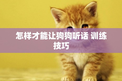 怎樣才能讓狗狗聽話 訓練技巧