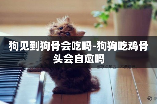 狗見到狗骨會吃嗎-狗狗吃雞骨頭會自愈嗎