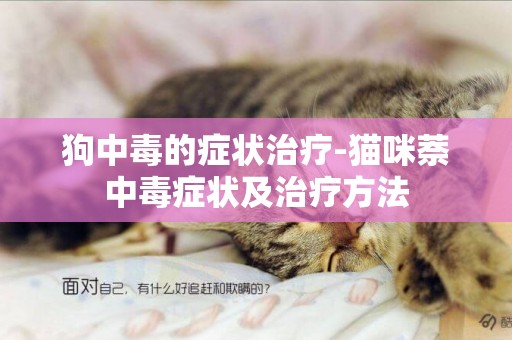 狗中毒的癥狀治療-貓咪萘中毒癥狀及治療方法