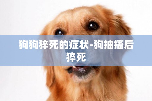 狗狗猝死的癥狀-狗抽搐后猝死