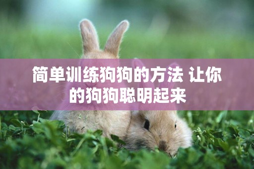 簡單訓練狗狗的方法 讓你的狗狗聰明起來
