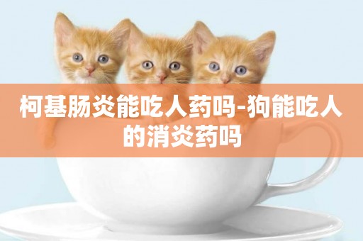 柯基腸炎能吃人藥嗎-狗能吃人的消炎藥嗎