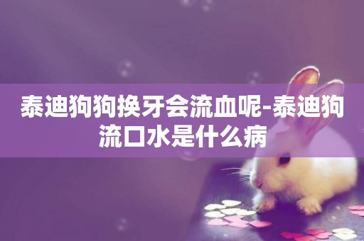 泰迪狗狗換牙會流血呢-泰迪狗流口水是什么病