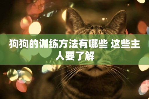 狗狗的訓練方法有哪些 這些主人要了解