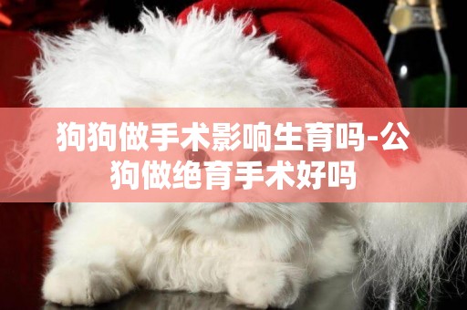 狗狗做手術影響生育嗎-公狗做絕育手術好嗎