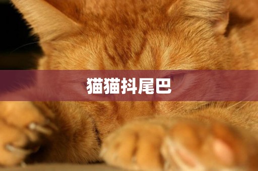 貓貓抖尾巴