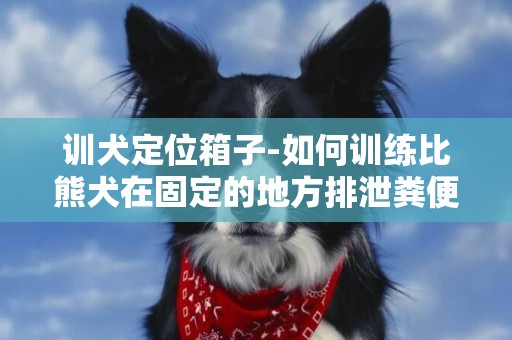 訓犬定位箱子-如何訓練比熊犬在固定的地方排泄糞便