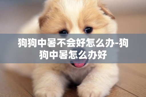 狗狗中暑不會好怎么辦-狗狗中暑怎么辦好