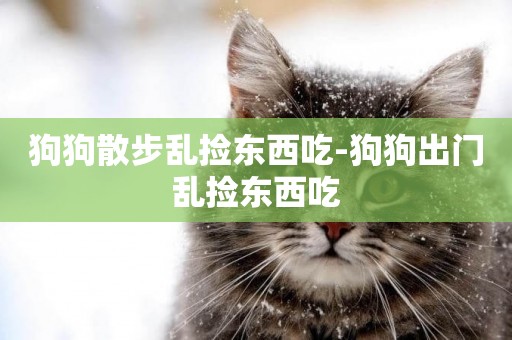 狗狗散步亂撿東西吃-狗狗出門亂撿東西吃