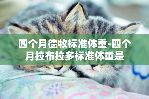 四個月德牧標準體重-四個月拉布拉多標準體重是