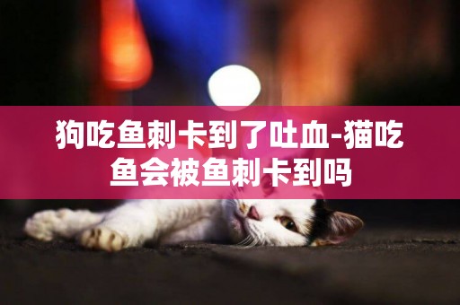 狗吃魚刺卡到了吐血-貓吃魚會被魚刺卡到嗎