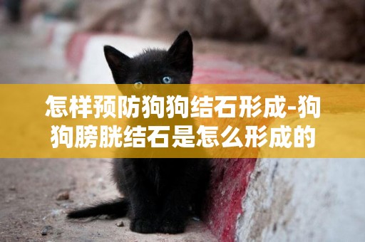怎樣預防狗狗結石形成-狗狗膀胱結石是怎么形成的