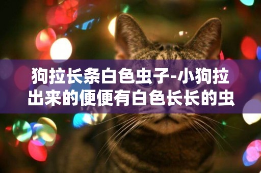 狗拉長條白色蟲子-小狗拉出來的便便有白色長長的蟲子該怎么辦
