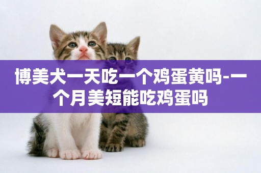 博美犬一天吃一個雞蛋黃嗎-一個月美短能吃雞蛋嗎