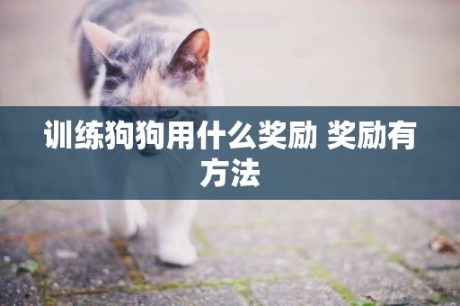 訓練狗狗用什么獎勵 獎勵有方法
