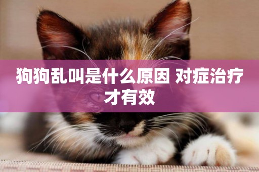 狗狗亂叫是什么原因 對癥治療才有效