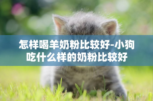 怎樣喝羊奶粉比較好-小狗吃什么樣的奶粉比較好