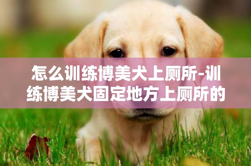 怎么訓練博美犬上廁所-訓練博美犬固定地方上廁所的方法