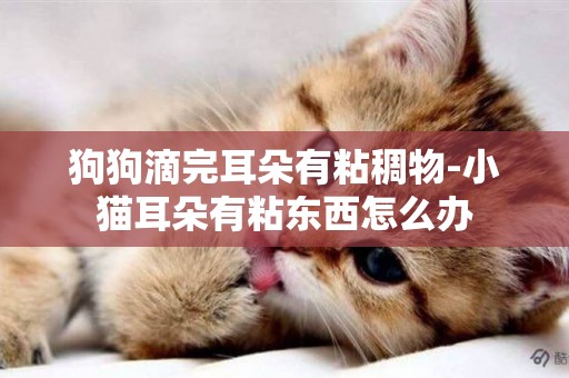 狗狗滴完耳朵有粘稠物-小貓耳朵有粘東西怎么辦
