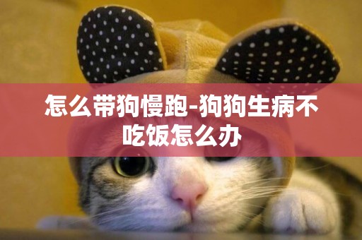 怎么帶狗慢跑-狗狗生病不吃飯怎么辦