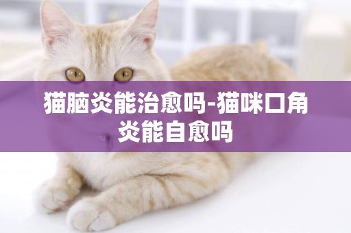 貓腦炎能治愈嗎-貓咪口角炎能自愈嗎
