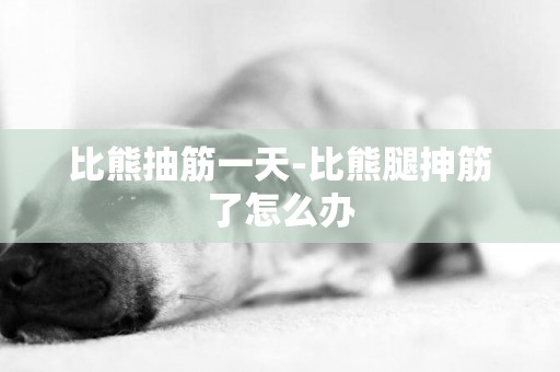 比熊抽筋一天-比熊腿抻筋了怎么辦