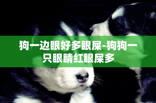 狗一邊眼好多眼屎-狗狗一只眼睛紅眼屎多