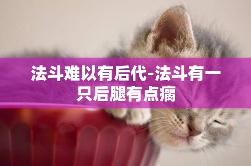 法斗難以有后代-法斗有一只后腿有點瘸