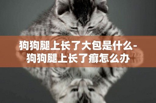 狗狗腿上長了大包是什么-狗狗腿上長了癬怎么辦
