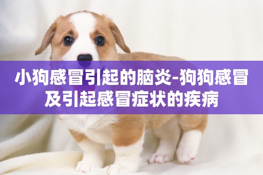 小狗感冒引起的腦炎-狗狗感冒及引起感冒癥狀的疾病