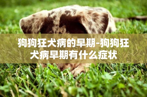 狗狗狂犬病的早期-狗狗狂犬病早期有什么癥狀