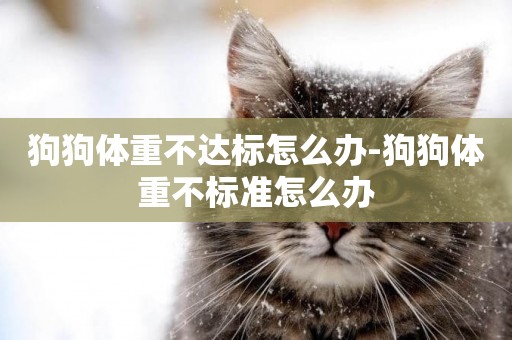 狗狗體重不達標怎么辦-狗狗體重不標準怎么辦