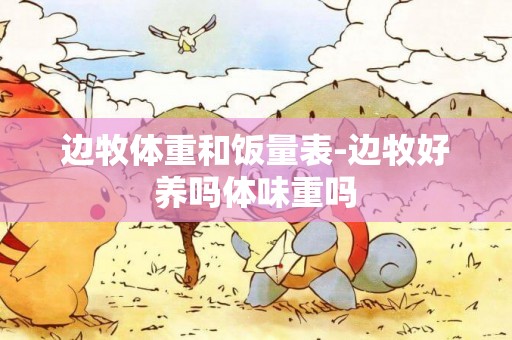 邊牧體重和飯量表-邊牧好養嗎體味重嗎