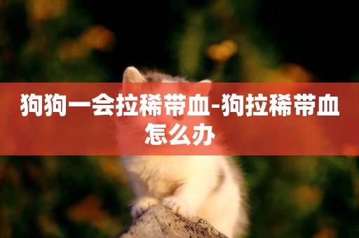 狗狗一會拉稀帶血-狗拉稀帶血怎么辦
